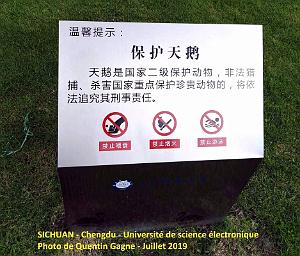 Chengdu- Universite Science electronique 041